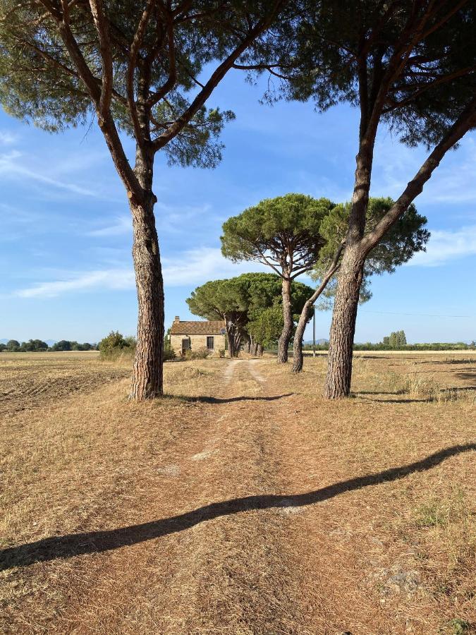 Quercesecca Marina di Grosseto