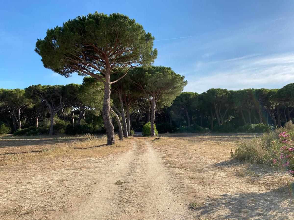 Agroturismo Quercesecca